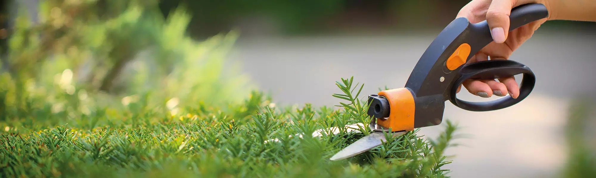 outil de jardin Soldes Magasin 2 outil de jardin Soldes Magasin -outil de jardin Soldes Magasin shp entretien 0c375dcf dac1 43fb b49c 6d0fa3e12e2d 1